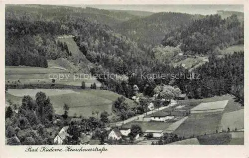 AK / Ansichtskarte  Bad Kudowa Kudowa-Zdroj Niederschlesien PL Panorama Heuscheuerstrasse