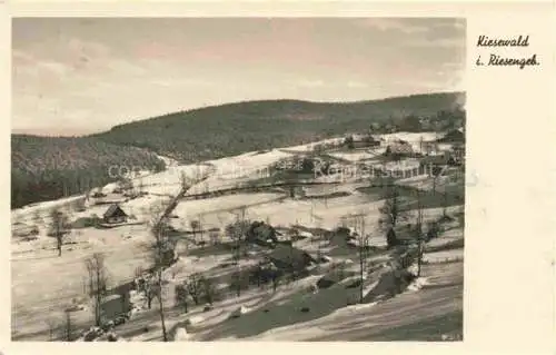 AK / Ansichtskarte  Kiesewald Petersdorf Michalowice JELENIA GORA Hirschberg PL Winterpanorama