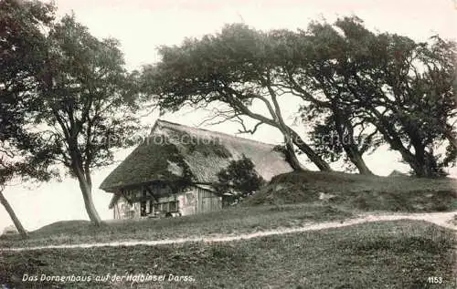 AK / Ansichtskarte  Ahrenshoop Ostseebad Dornenhaus auf der Halbinsel Darss