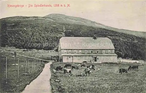 AK / Ansichtskarte  Spindleruv Mlyn Spindelmuehle Riesengebirge CZ Spindlerbaude