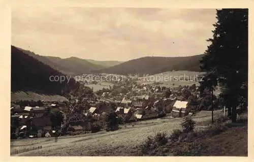 AK / Ansichtskarte  Manebach Panorama Kurort Thueringer Wald