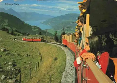 AK / Ansichtskarte  Eisenbahn Railway Chemin de Fer Ferrovia-- Schynige Platte Thunersee