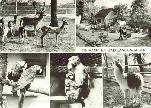 AK / Ansichtskarte  Zoo Gardin Zoologique-- Bad Langensalza Papagei Affen 