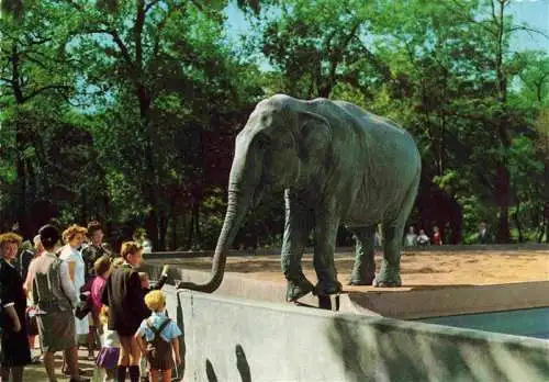 AK / Ansichtskarte  Zoo Gardin Zoologique-- Ruhr Gelsenkirchen  Elafant 