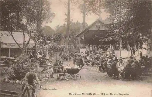 AK / Ansichtskarte  Jouy-sur-Morin Provins 77 Seine-et-Marne Ile des Pingouins