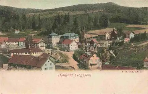 AK / Ansichtskarte  Hohwald Bad Selestat-Erstein 67 Bas-Rhin Panorama