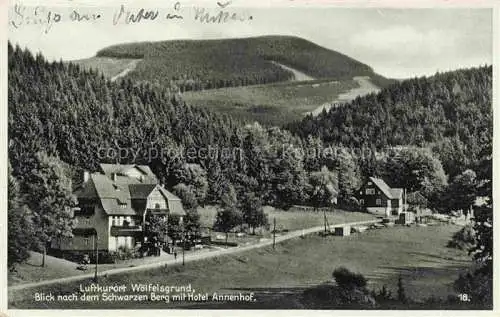 AK / Ansichtskarte  Woelfelsgrund Urnitztal Glatz PL mit Hotel Annenhof und Schwarzem Berg