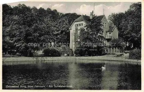 AK / Ansichtskarte  Burg  Fehmarn Am Schwanenteich