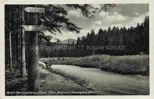 AK / Ansichtskarte  Oberbaerenburg Baerenburg Waldweg Blick zum Geisingberg