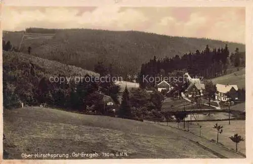 AK / Ansichtskarte  Oberhirschsprung Ober-Hirschsprung Altenberg Sachsen Panorama