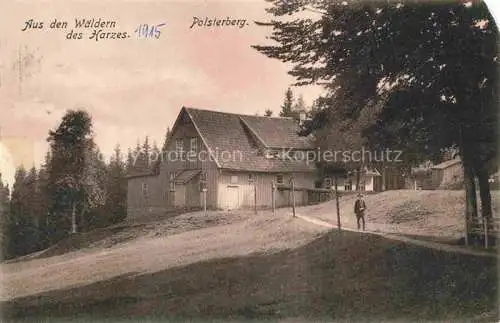 AK / Ansichtskarte  Polsterberg Clausthal-Zellerfeld Goslar Aus den Waeldern des Harzes