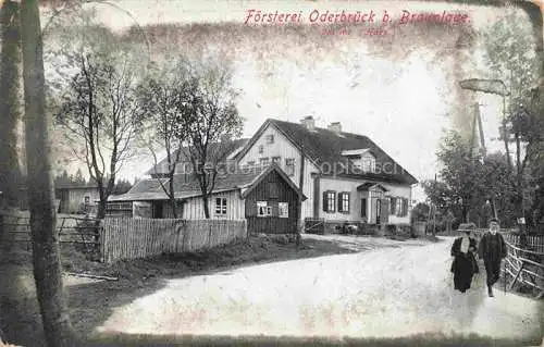 AK / Ansichtskarte  Braunlage Foersterei Oderbrueck