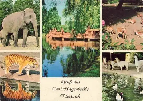 AK / Ansichtskarte  Zoo Gardin Zoologique-- Carl Hagenbeck Hamburg Stellingen