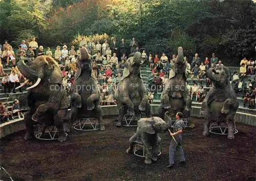 AK / Ansichtskarte  Zoo Gardin Zoologique-- Basel Afrikanische Elefanten