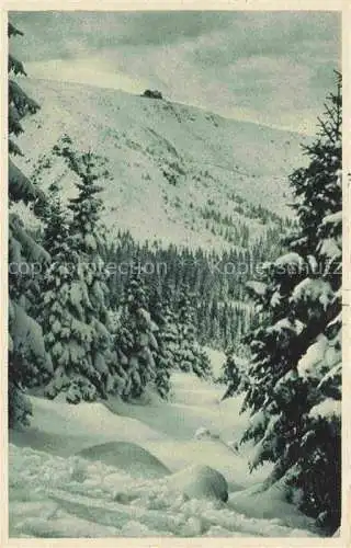 AK / Ansichtskarte  Schreiberhau Szklarska Poreba Riesengebirge PL Serie Schlesische Gebirgsbilder nach Original-Aufnahme von O. Blau Nr. 101 Weg zur Hampelbaude Prinz Heinrich-Baude