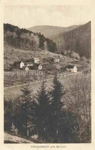 AK / Ansichtskarte  Freudeneck Oberfranken pres Belmont