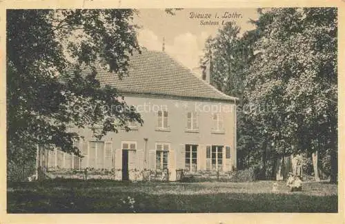 AK / Ansichtskarte  Dieuze Duss Lothringen 57 Moselle Schloss Louis