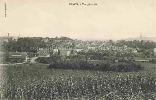 AK / Ansichtskarte  Bayon Luneville 54 Meurthe-et-Moselle Vue generale