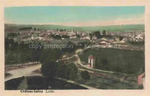 AK / Ansichtskarte  Chateau-Salins 57 Moselle Panorama