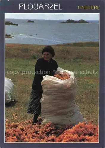 AK / Ansichtskarte  Plouarzel Ramassage du goémon après sêchage sur les dunes