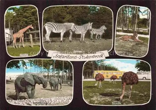 AK / Ansichtskarte  Zoo Gardin Zoologique-- Safariland Stukenbrock Strauss Elefant Zebra Giraffe Tieger