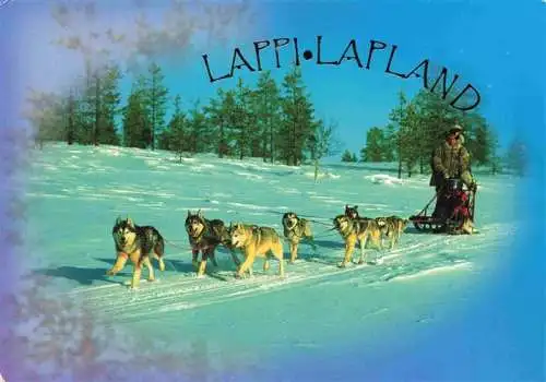 AK / Ansichtskarte  Hunde dogs chiens-- Schlitten Husky Lapland