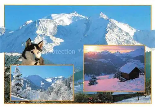 AK / Ansichtskarte  Albertville 73 Savoie Winterzauber in den Alpen Haski Hund