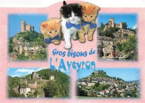 AK / Ansichtskarte  Aveyron Najac Belcastel Brousse le Château Séverac le Château des chats