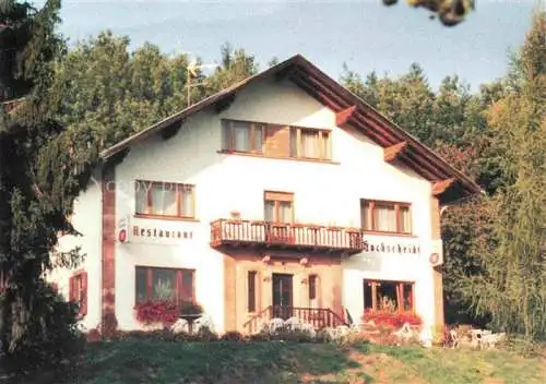 AK / Ansichtskarte  Niederbronn-les-Bains Bad Niederbronn 67 Bas-Rhin Hôtel Restaurant Hochscheidt