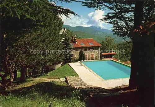 AK / Ansichtskarte  Prats-de-Mollo-la-Preste Ceret 66 Pyrenees-Orientales Le Domaine de Costerebe Piscine