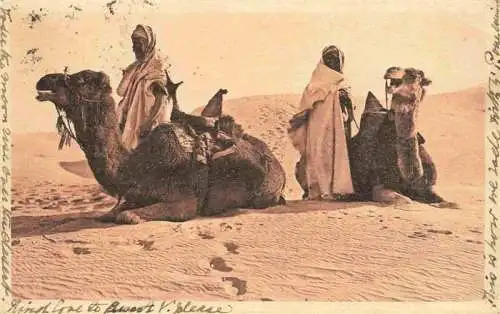 AK / Ansichtskarte  Kamele  Camel Chameau-- Biskra Dunes