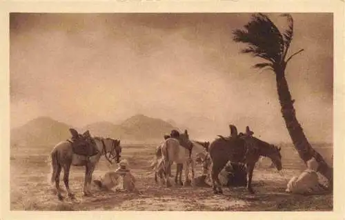 AK / Ansichtskarte  Nomades Nomaden Beduines Bedouines-- Scenes Types Algerie Pferde