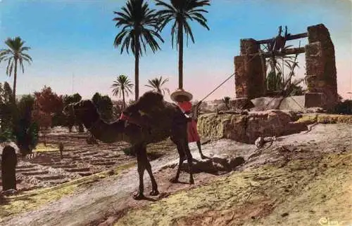 AK / Ansichtskarte  Kamele  Camel Chameau-- Artistique L Afrique Arrosage palmeraie