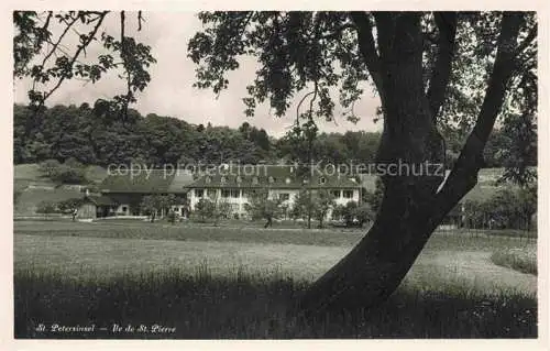 AK / Ansichtskarte  St Petersinsel Sankt Petersinsel Erlach BE Teilansicht