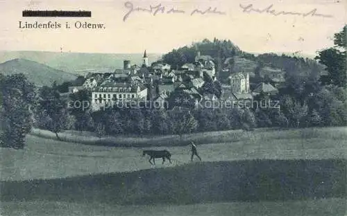 AK / Ansichtskarte  Lindenfels Odenwald Feldarbeit Blick zum Ort