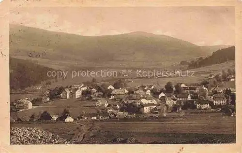 AK / Ansichtskarte  Eisenstein Boehmen Zelezna Ruda CZ Panorama Boehmerwald