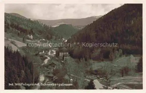 AK / Ansichtskarte  Woelfelsgrund Urnitztal Glatz PL Panorama Schneebergstrasse Grafschaft Glatz