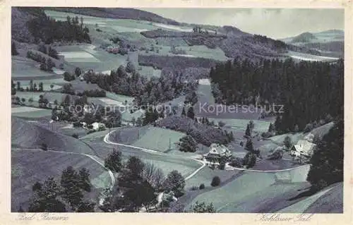 AK / Ansichtskarte  Bad Reinerz Niederschlesien Duszniki-Zdroj PL Panorama Kohlauer Tal Kupfertiefdruck