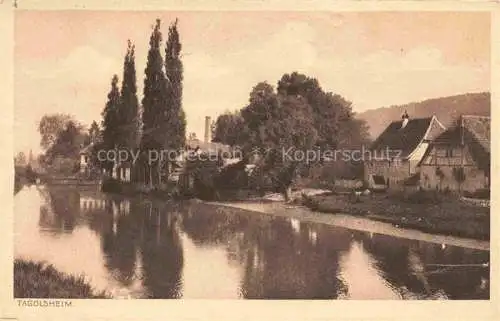 AK / Ansichtskarte  Tagolsheim Altkirch 68 Haut-Rhin Panorama