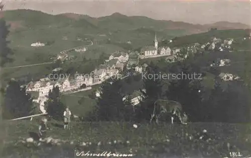 AK / Ansichtskarte  Schwellbrunn Appenzell AR Panorama