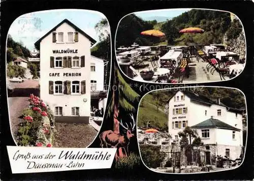 AK / Ansichtskarte  Dausenau Rheinland-Pfalz Cafe Pension Waldmuehle Terrasse