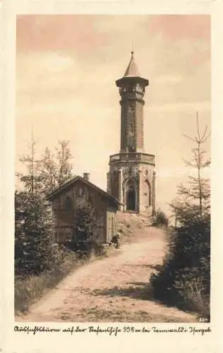 AK / Ansichtskarte  Tannwald Tanvald CZ Aussichtsturm auf der Stefanshoehe Isergebirge