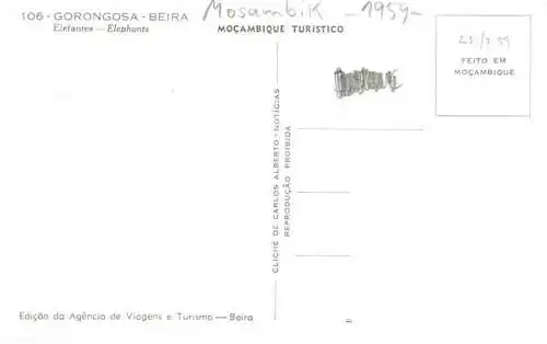 AK / Ansichtskarte  Elefant Gorongosa Beira 