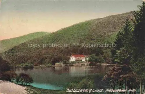 AK / Ansichtskarte  Bad Lauterberg Panorama Wiesenbeker Teich