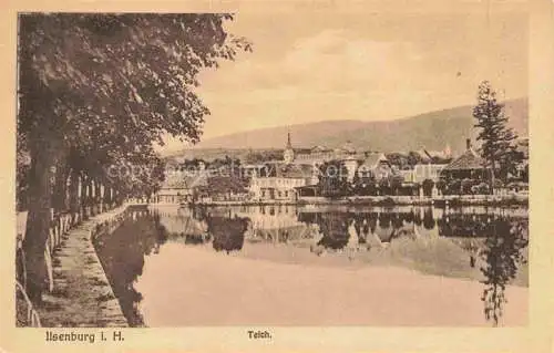 AK / Ansichtskarte  Ilsenburg Harz Panorama Uferpartie am Teich