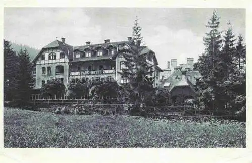 AK / Ansichtskarte  Bad Reinerz Niederschlesien Duszniki-Zdroj PL Park-Hotel und Villa Hygiea