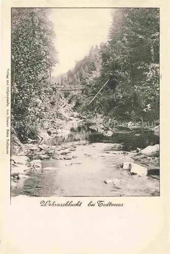 AK / Ansichtskarte  Todtmoos Wehraschlucht im Schwarzwald