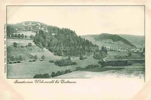 AK / Ansichtskarte  Todtmoos Panorama Blick nach Sanatorium Wehrawald