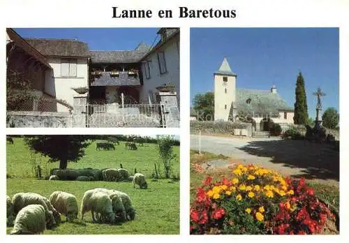 AK / Ansichtskarte  Lanne-en-Baretous Eglise Maison béarnaise et troupeaux en Barétous