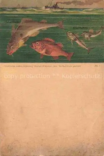 AK / Ansichtskarte  Fische Fish Poissons Peces Pesci-- Rotbarsch Schell